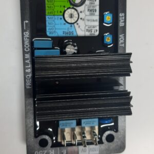 AVR-R 250 VOLTAJ REGÜLATÖRÜ